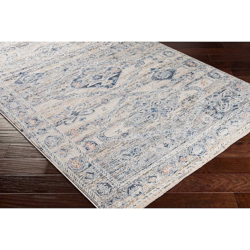Livabliss Kambiz Vintage Traditional Area Rug