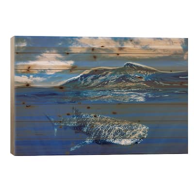 Whale Shark Over Under Print On Wood by Jordan Robins - Multi-Color
