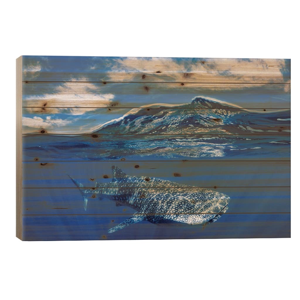 Whale Shark Over Under Print On Wood by Jordan Robins - Multi-Color