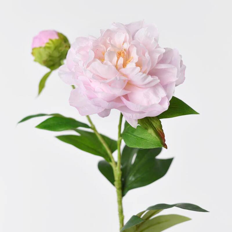 Silk Decorative Artificial Phoenix Peony(Pack of 1 Branch)