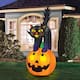 Option CAT ON PUMPKIN