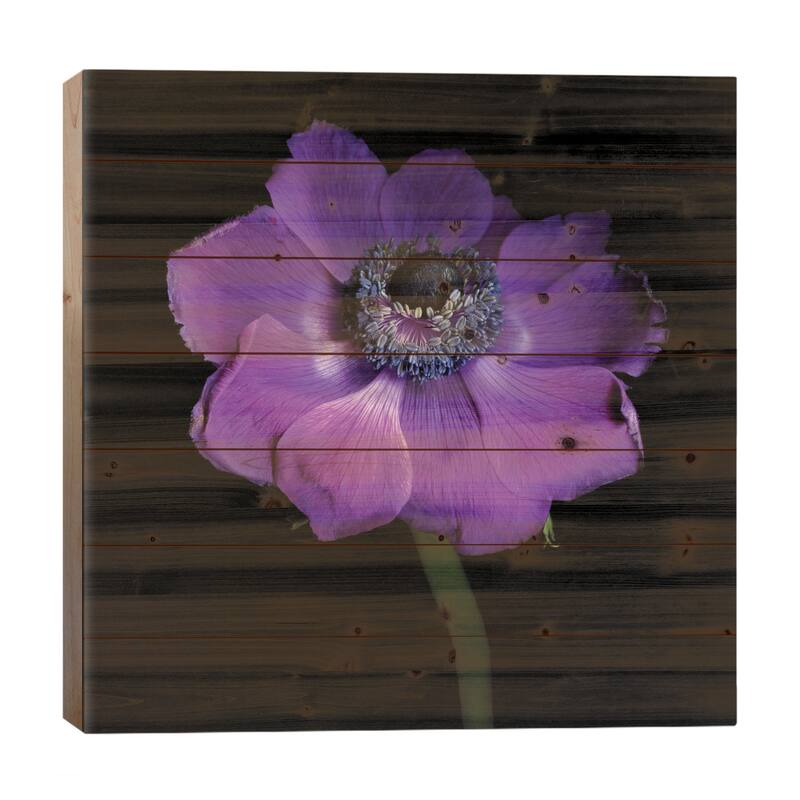 Anemone Con Brio Print On Wood by Magda Indigo - Multi-Color - 26x26x1.5