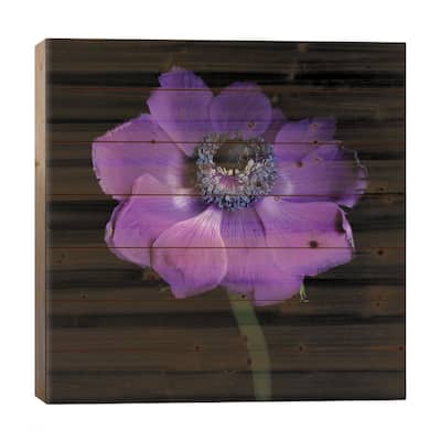 Anemone Con Brio Print On Wood by Magda Indigo - Multi-Color