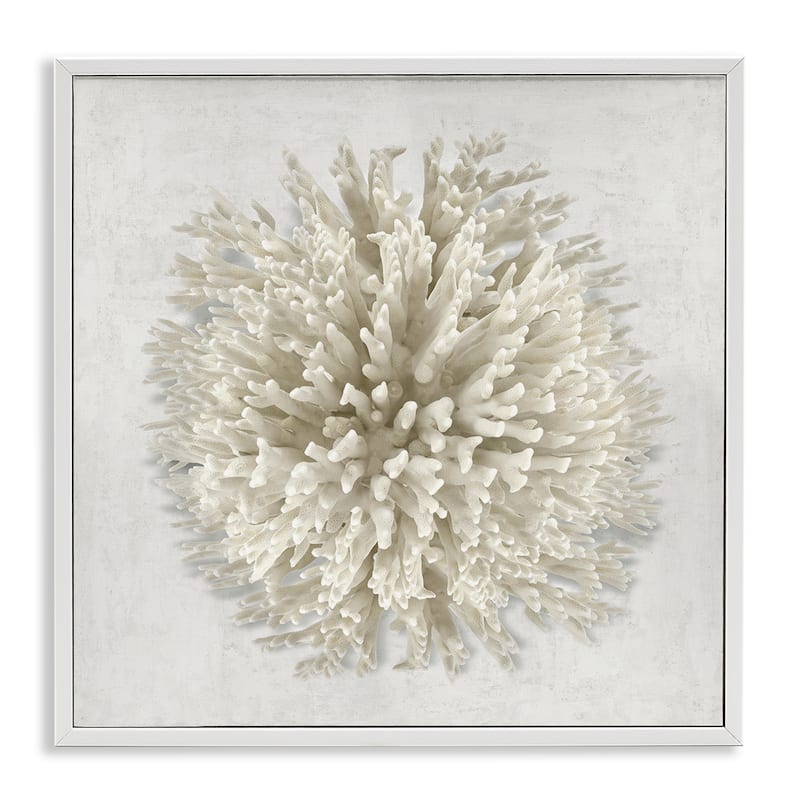 Stupell Natural Round Coral Framed Giclee Art Design By Caroline Kelly - 24 x 24 - White