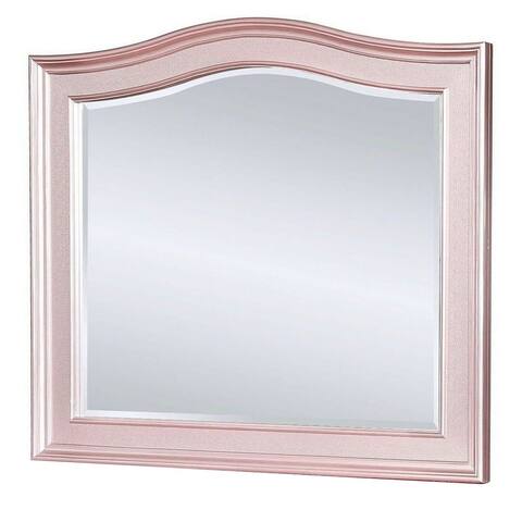 46 Inch Contemporary Style Wooden Frame Mirror, Rose Pink