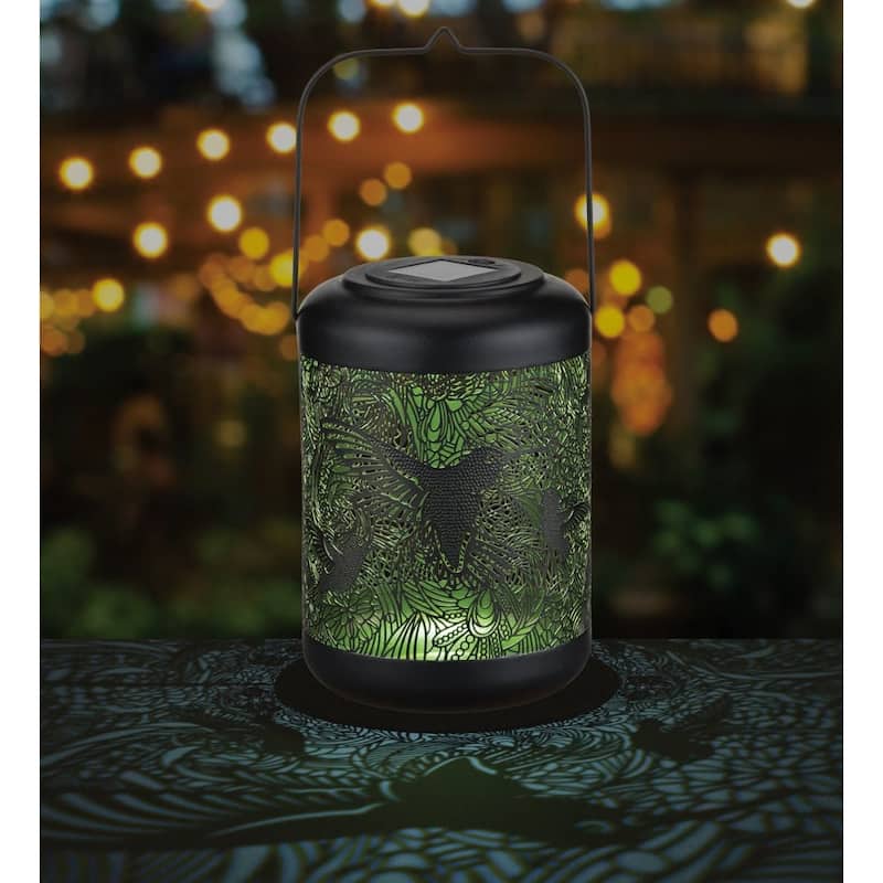 Shadow Lantern LG - Hummingbird
