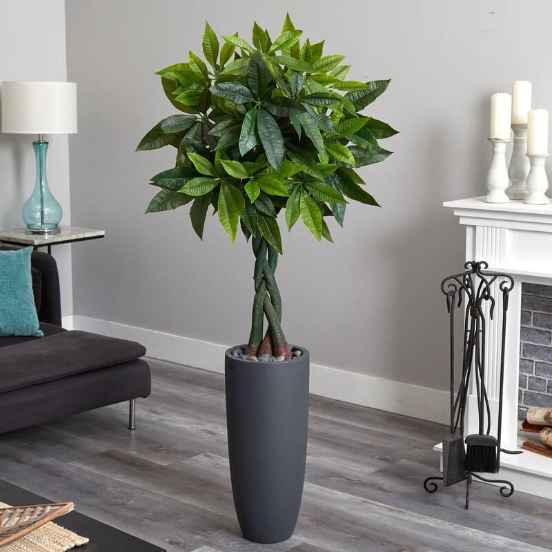 6ft Money Artificial Tree in Gray Cylinder Planter with Real Touch Green Leaves and Braided Trunk for Modern Spaces