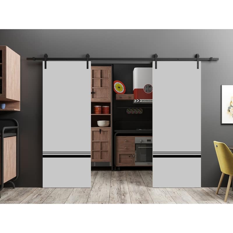 Sturdy Double Barn Door 36 x 80 with Planum 0012 Grey Matte with 13FT
