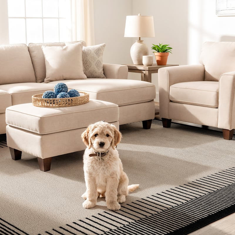 World Rug Gallery Modern Abstract Bordered Area Rug for Living Room, Bedroom, or Entryway - Low Pile Indoor Rug