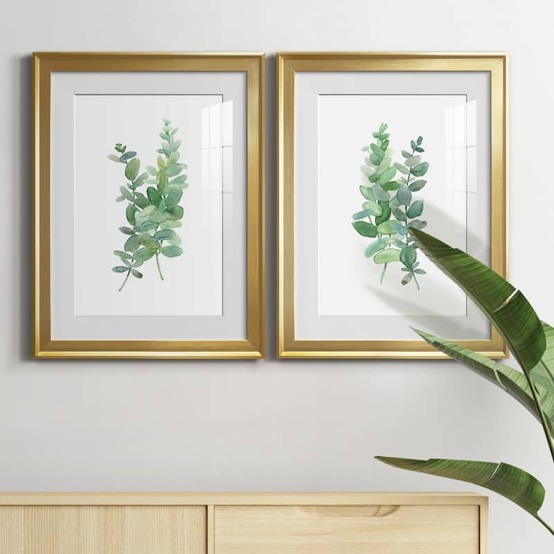 Eucalyptus I Premium Framed Print - Ready to Hang