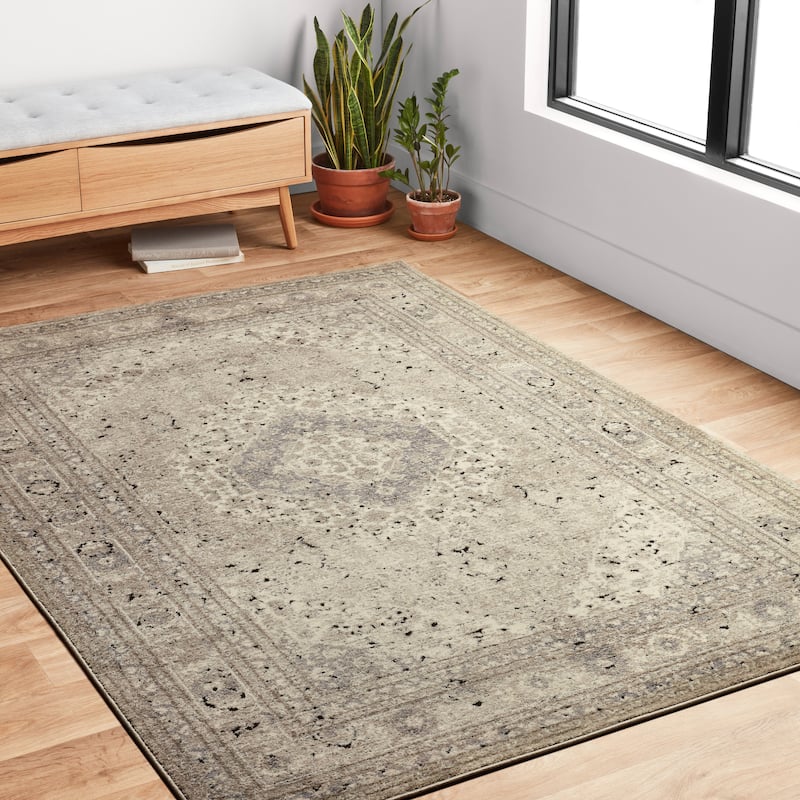 Alexander Home Carissa Sand Distressed Medallion Area Rug