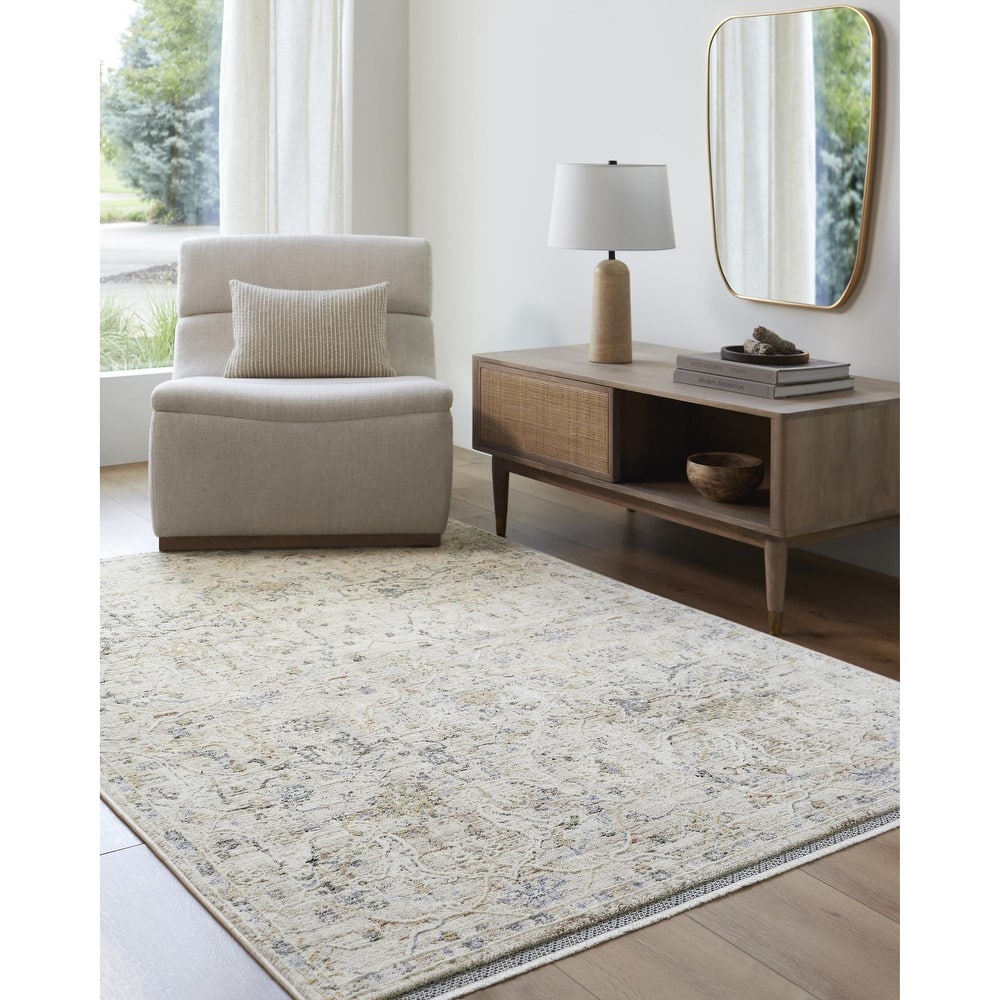 Livabliss Rivaldo Traditional Distressed Oriental Area Rug