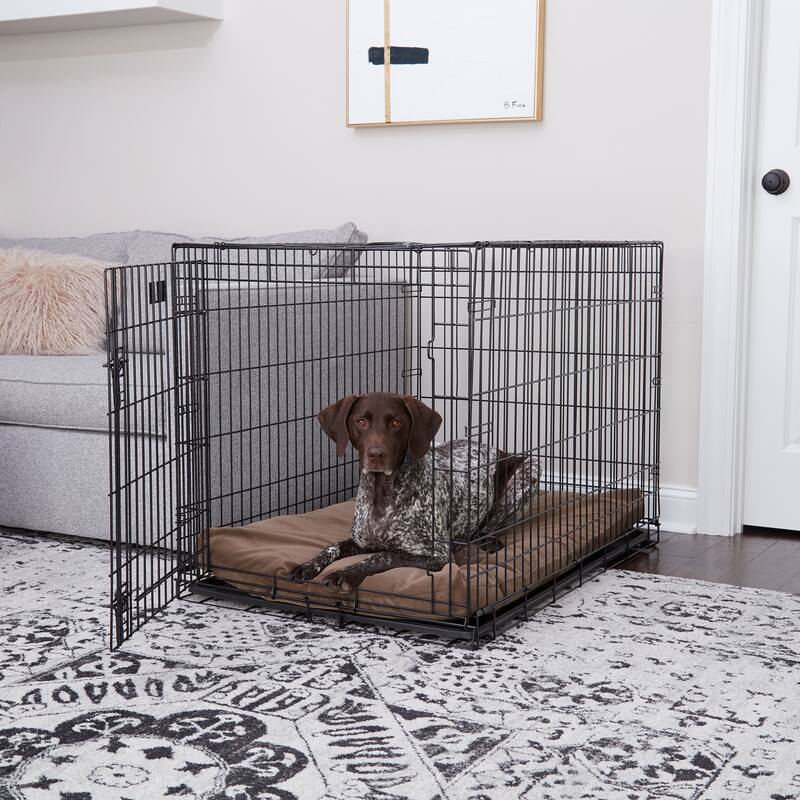 Cooper Deluxe Reversible Crate Pad - Large (42"x28") - Latte