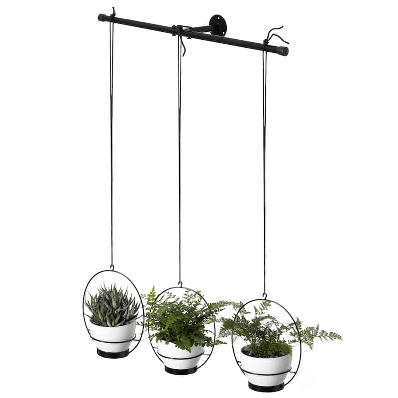 Decorative Metal Hanging Planter with Tree Pots for Flowers - Black