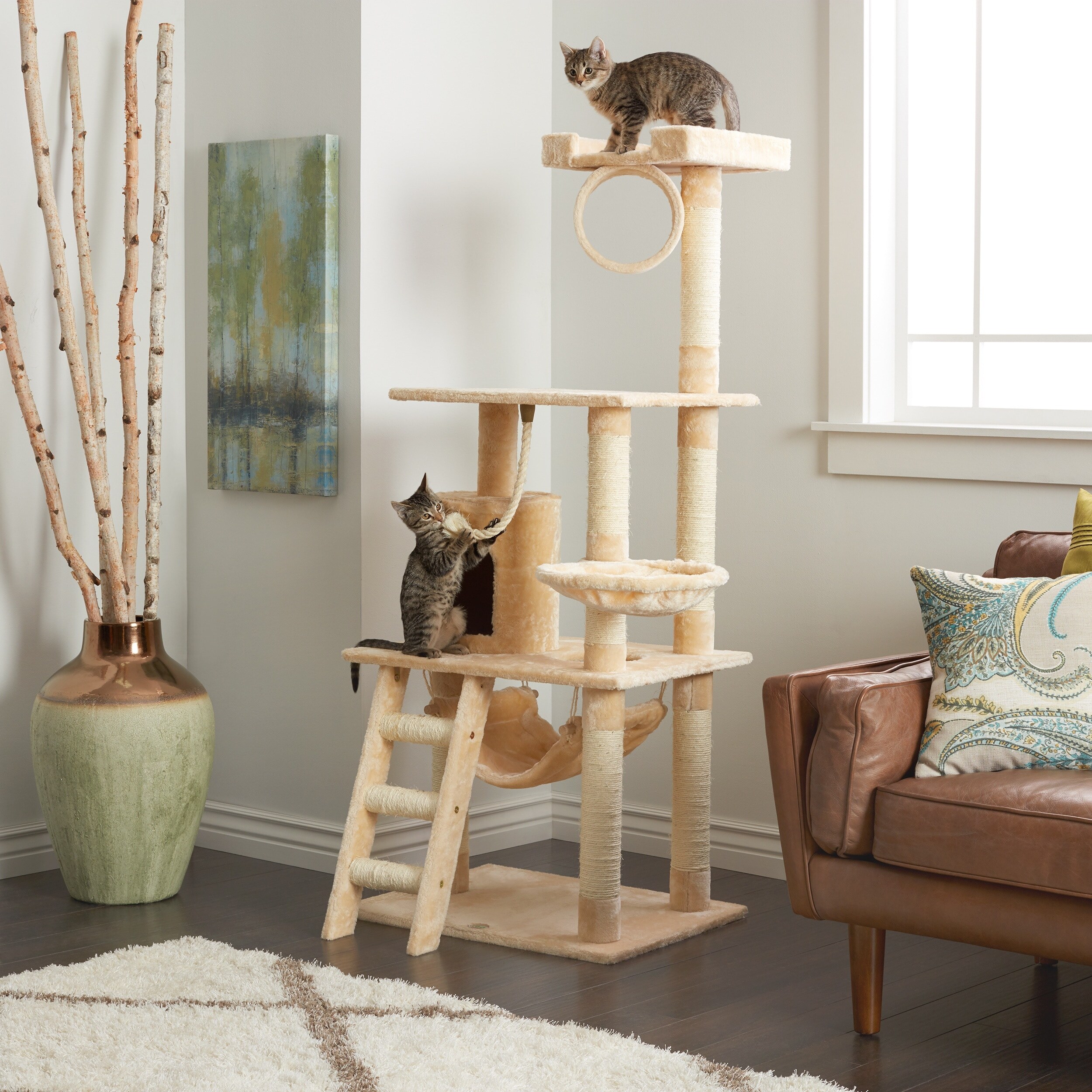 62 inch cat tree clearance