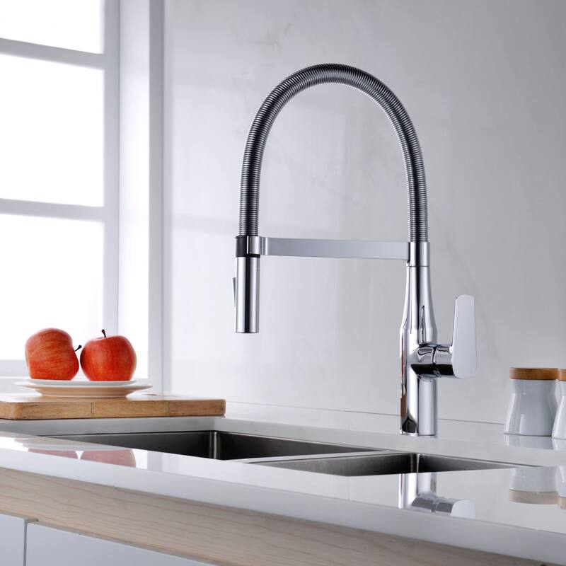 Dowell Series 8002/016 Single Handle Kitchen Faucet/Sprayer