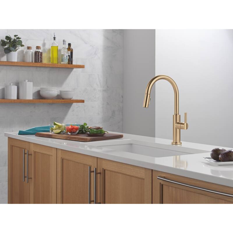 Delta 19867LF Nicoli 1.8 GPM Single Hole Pull Down Kitchen Faucet
