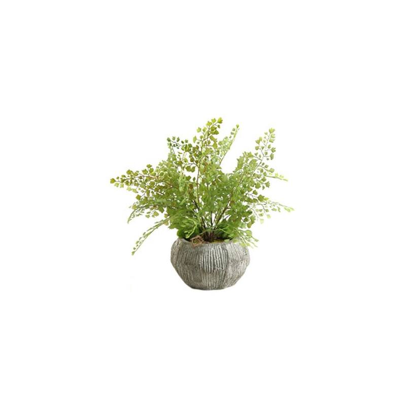 HomeStock Flat Iron Fern in Concrete Bowl - Realistic Faux Fern for Urban Rustic Appeal - 15