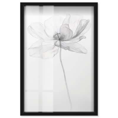 Fragile Beauty I Shadowbox by Art Remedy