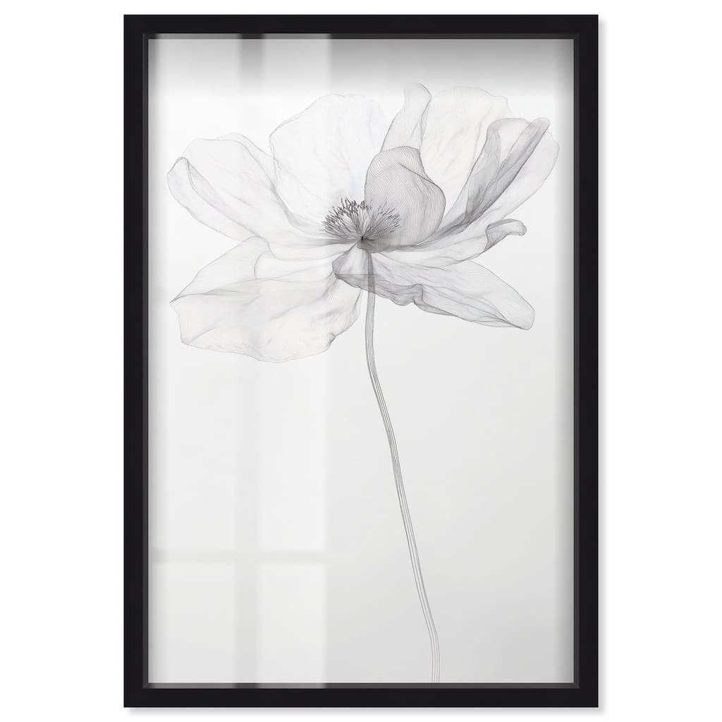 Fragile Beauty I Shadowbox by Art Remedy