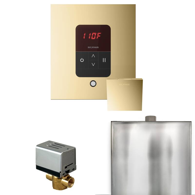 Mr Steam BBS Basic Butler Package Steam Shower Control Package with - Polished Brass