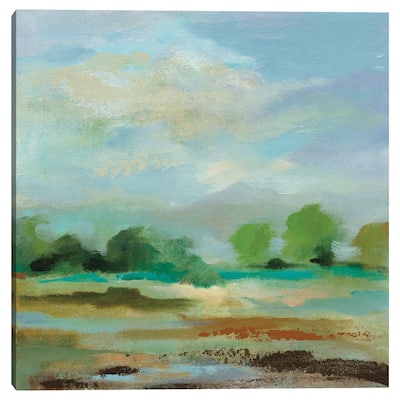 Unexpected Clouds II by Silvia Vassileva Canvas Art Print