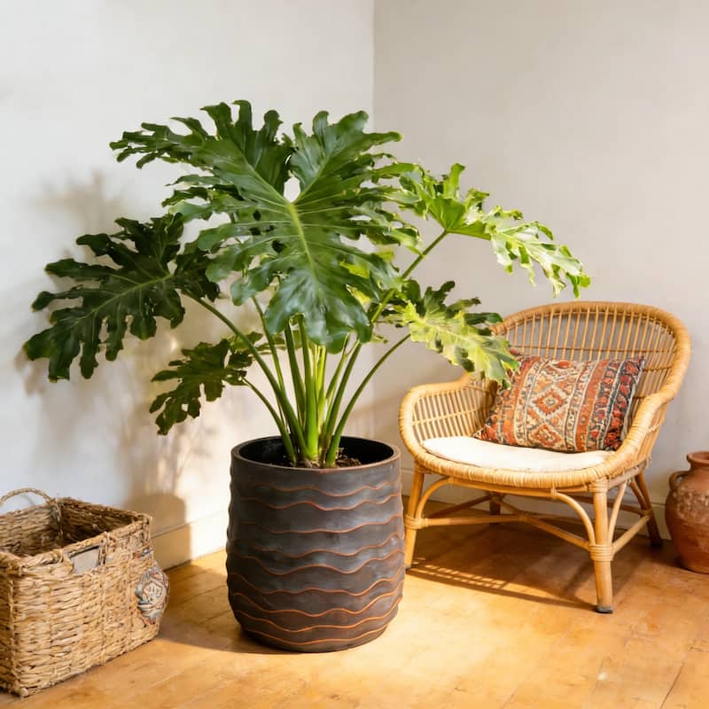 Large Round Planters Set of 2 (16.14"x15.75" & 11.8" x11.42") - Lightweight Plant Pot -Concrete Planter Pots with Drainage Hole