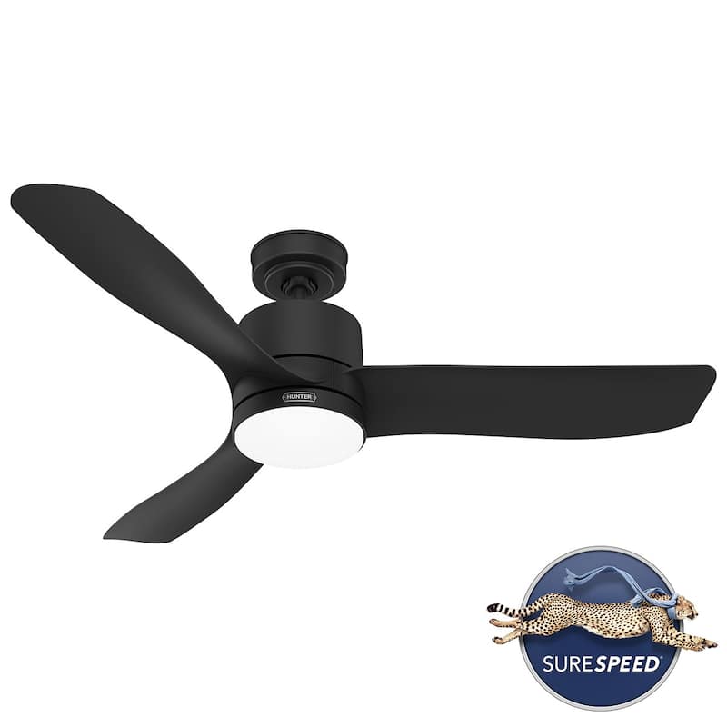 Hunter 52" Bolsa Indoor/Outdoor Ceiling Fan with LED Light and Handheld Remote - Transitional, Contemporary - DAMP RATED