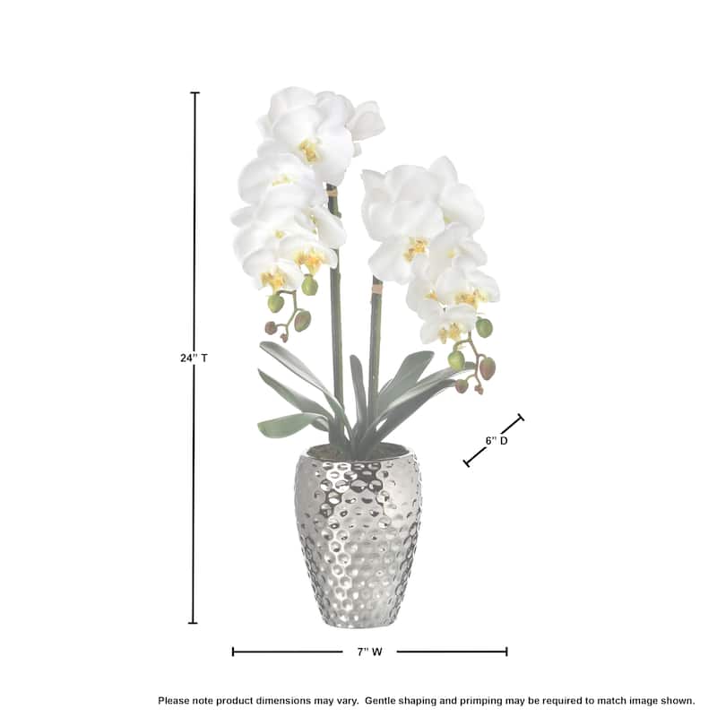 Phalaenopsis Orchid In Hammer Silver Pot 24"