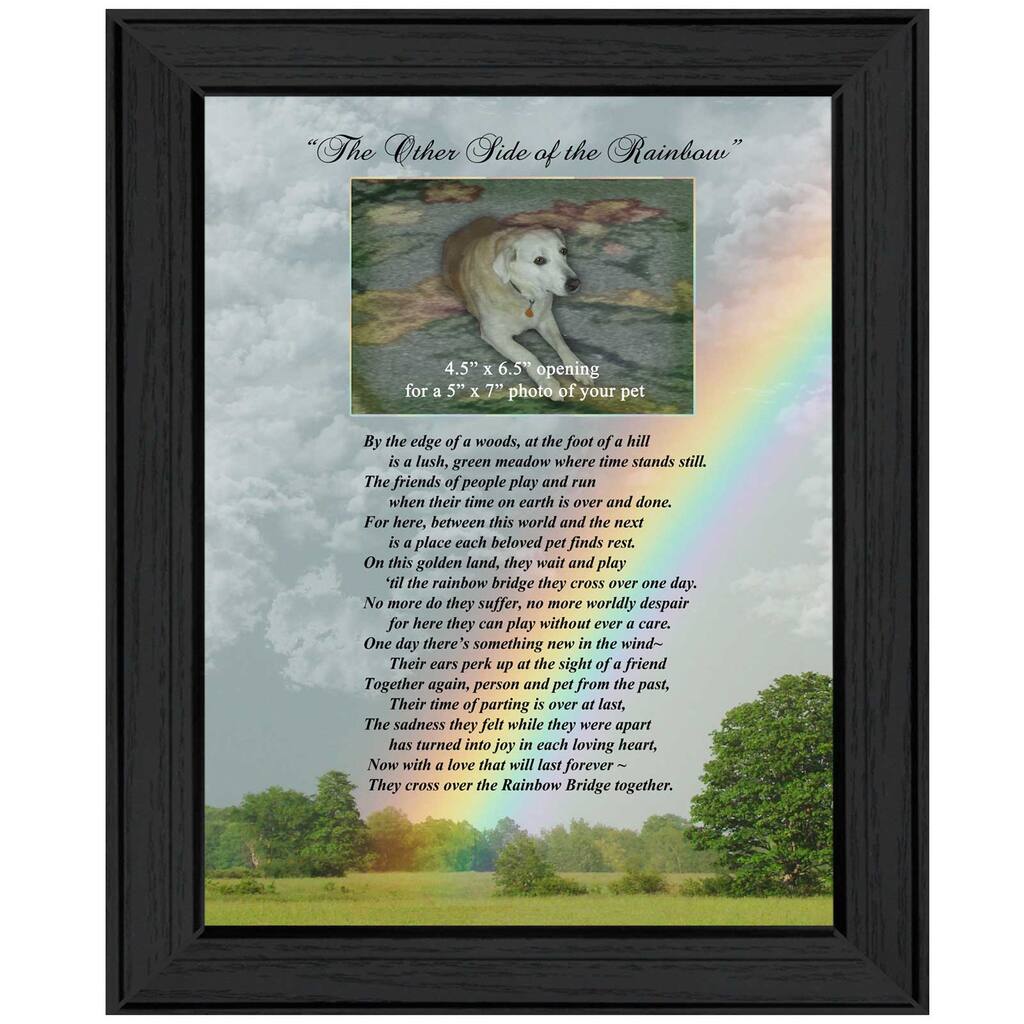 "Rainbow Bridge" By Trendy Decor4U, Ready to Hang Framed Wall Art, Black Frame
