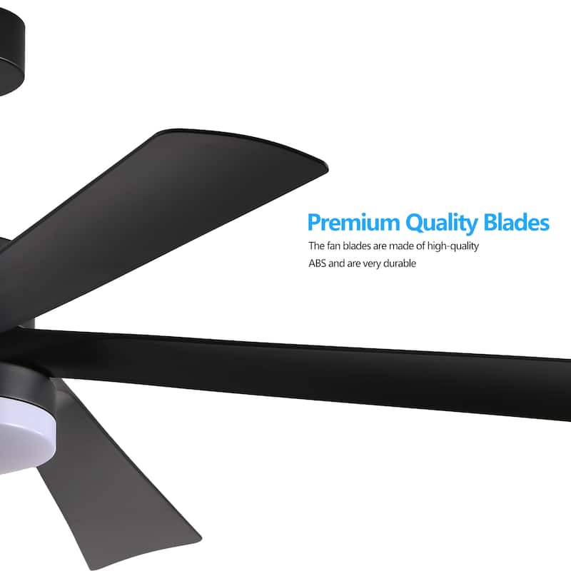 65 Inch Ceiling Fan with Light, 5-Blade Dimmable LED Ceiling Fan with Remote Control, Modern Quiet Design - Black