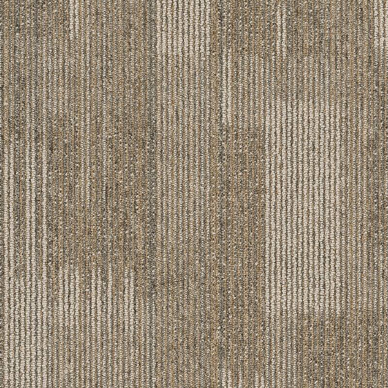 Shaw Philadelphia Commercial Pure Attitude 18" x 36" Glue Down Carpet - Astute