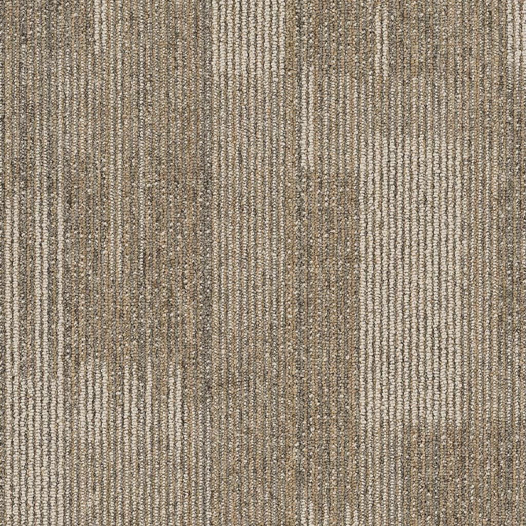 Shaw Philadelphia Commercial Pure Attitude 18" x 36" Glue Down Carpet