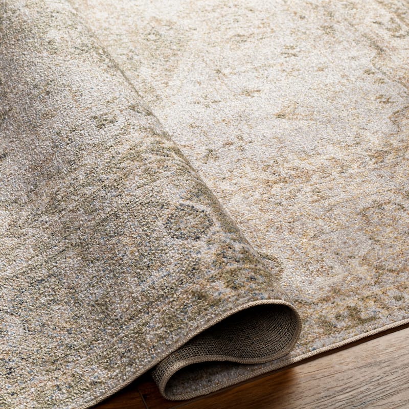 Livabliss Lillian Transitional Washable Area Rug