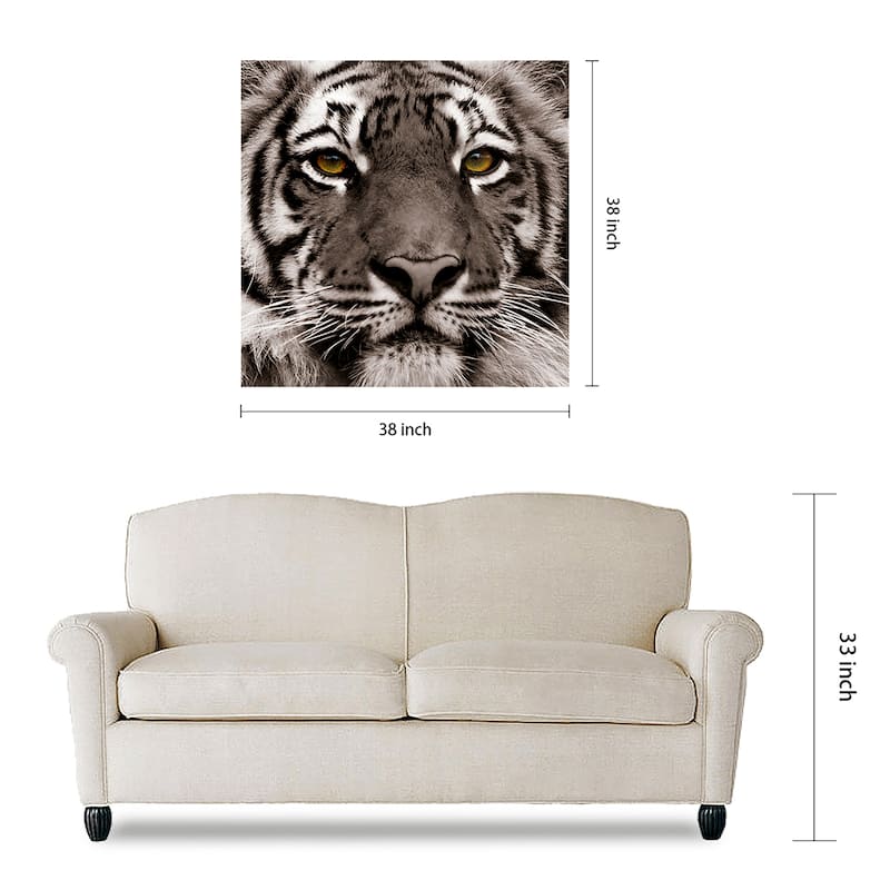 "Eye of the Tiger" Frameless Free Floating Tempered Glass Panel Graphic Wall Art