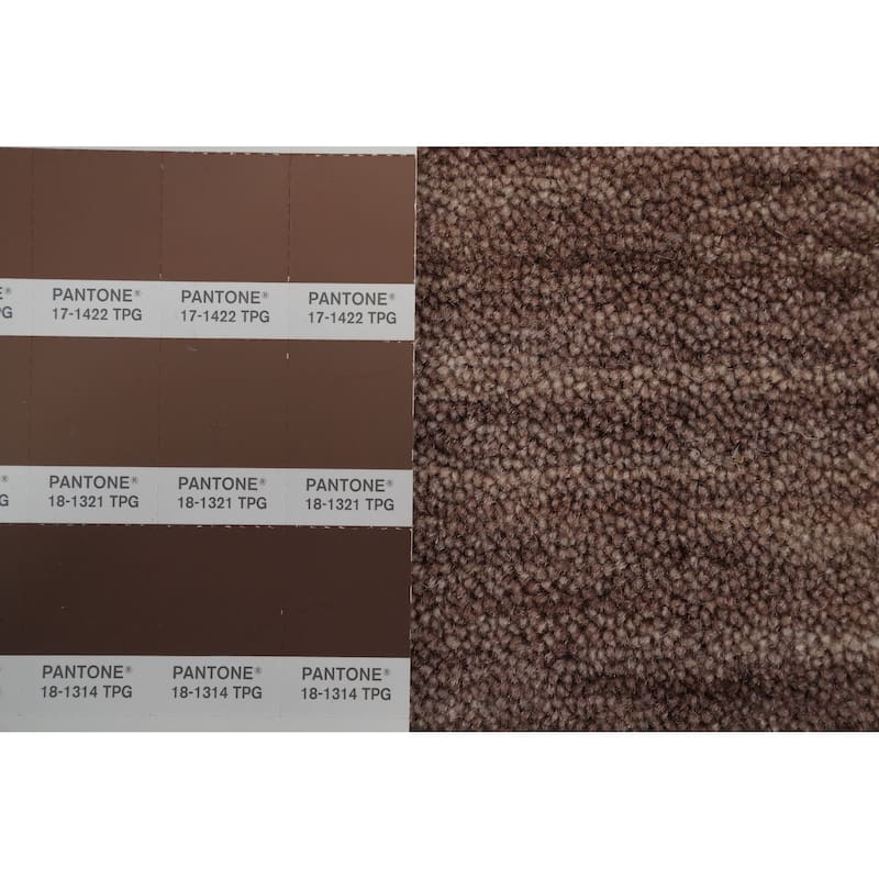 Hand Knotted Oriental 100% Wool Carpet Tribal Animal Pictorial Brown Gabbeh Area Rug - 7' 8'' X 4' 11''