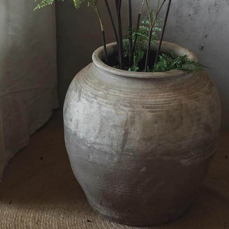 RusticReach Round Earthenware Pot