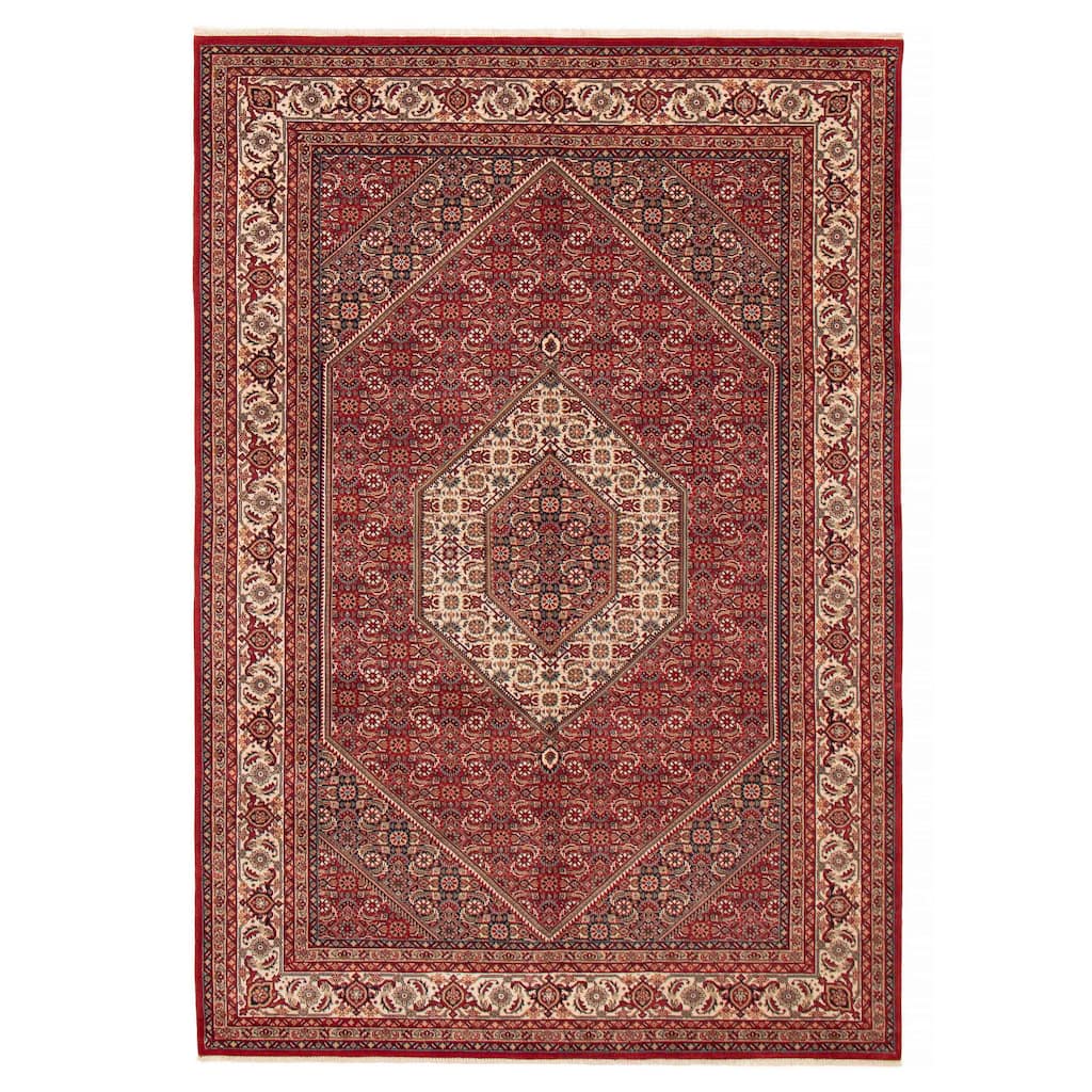 ECARPETGALLERY Hand-knotted Bijar Red Wool Rug - 6'9 x 9'10