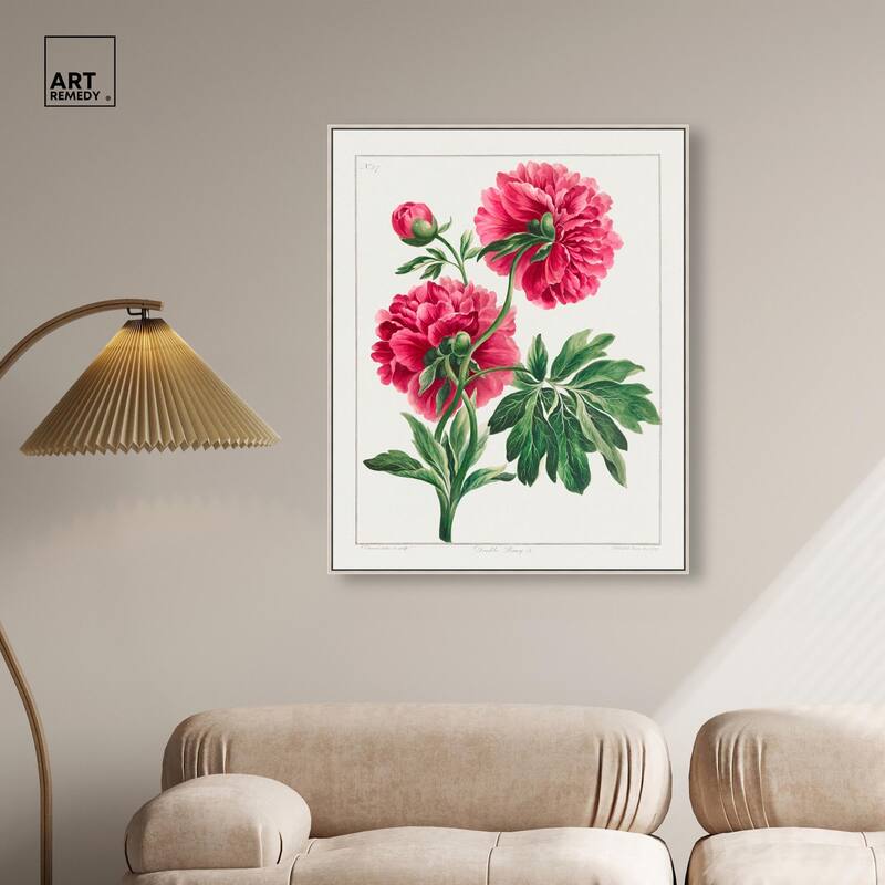 Double Peony (1789) Canvas by Art Remedy