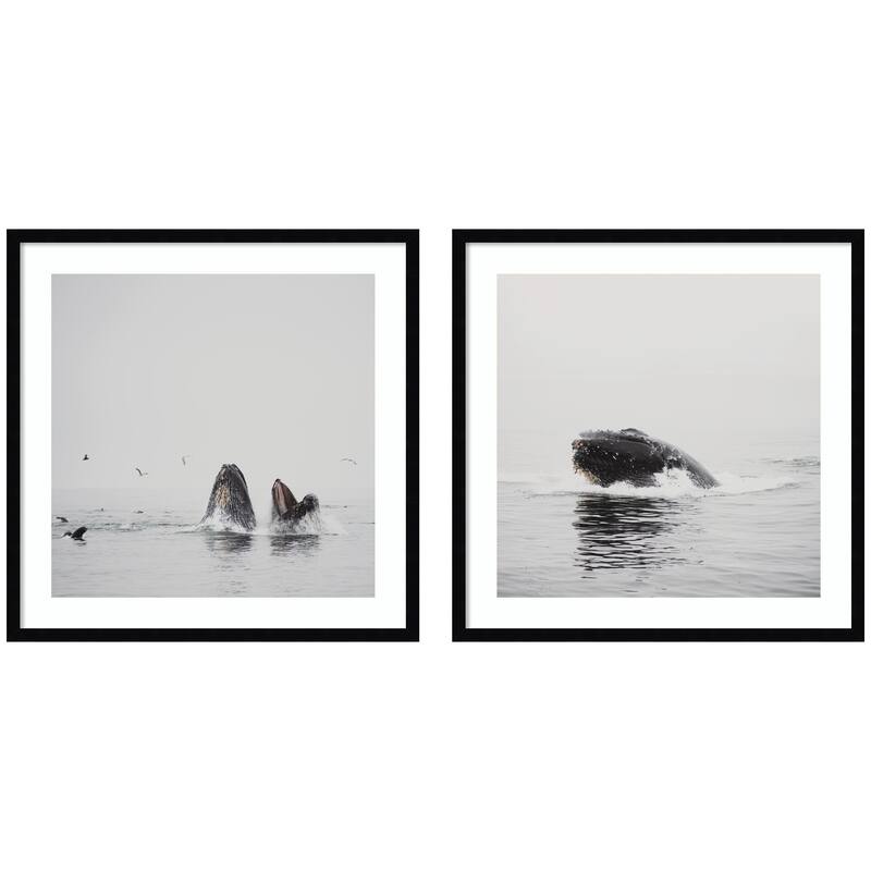 Kate and Laurel Humpback Whale 2 Piece Framed Wall Art Print Set by Laura Evans - 2 Piece Set 25x25 - Black