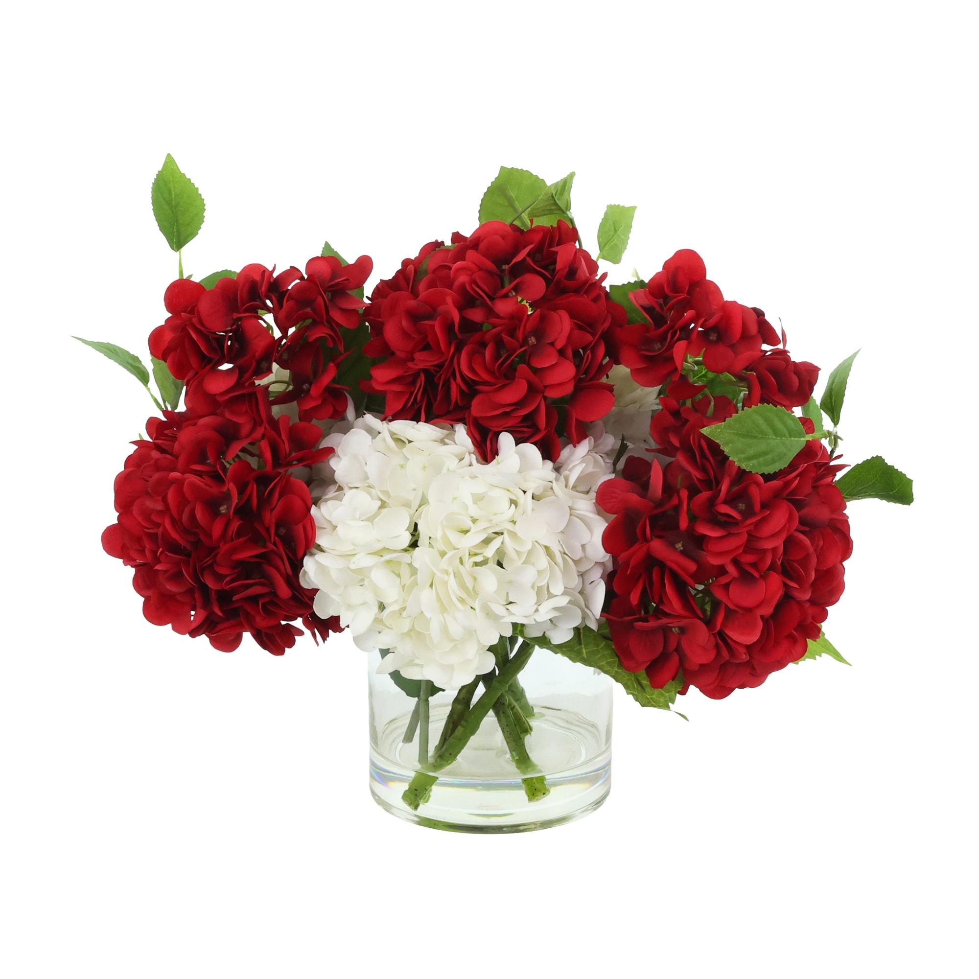Hydrangeas in Glass Vase