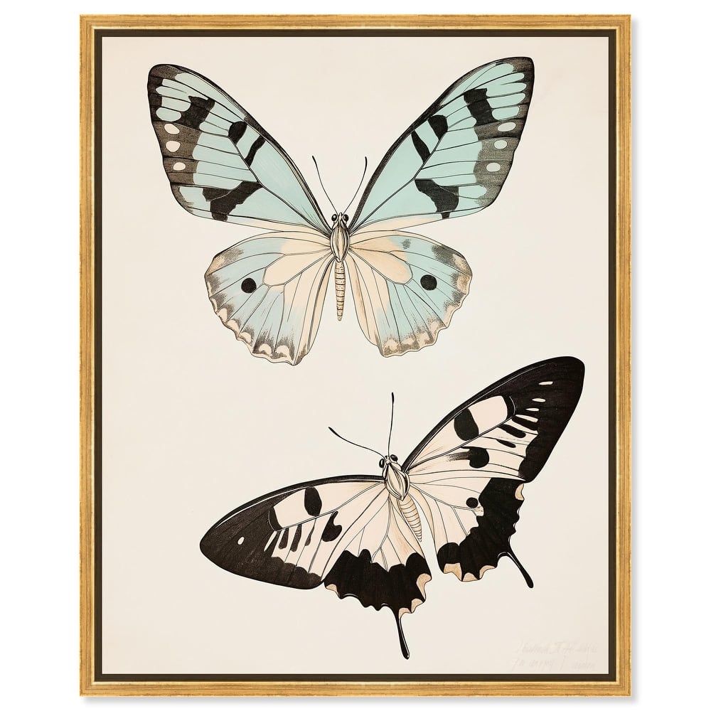 Aniseed Anatomy II Canvas by Art Remedy