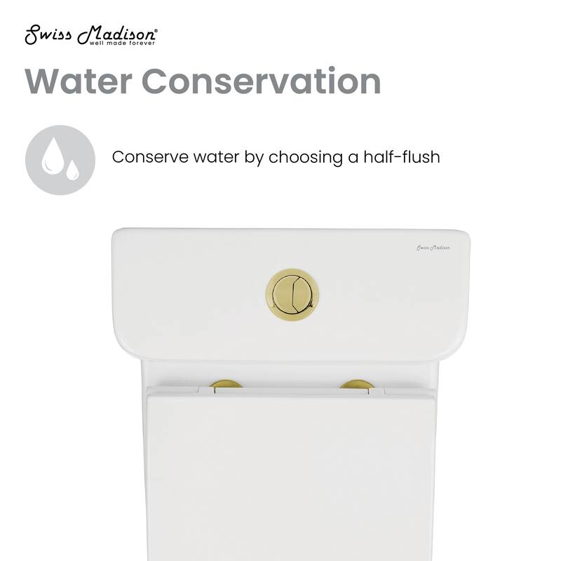 Charme One Piece Square Toilet Dual Flush, Brushed Gold Hardware 1.1/1.6 Gpf - 25.8" x 14.95" 29.95"