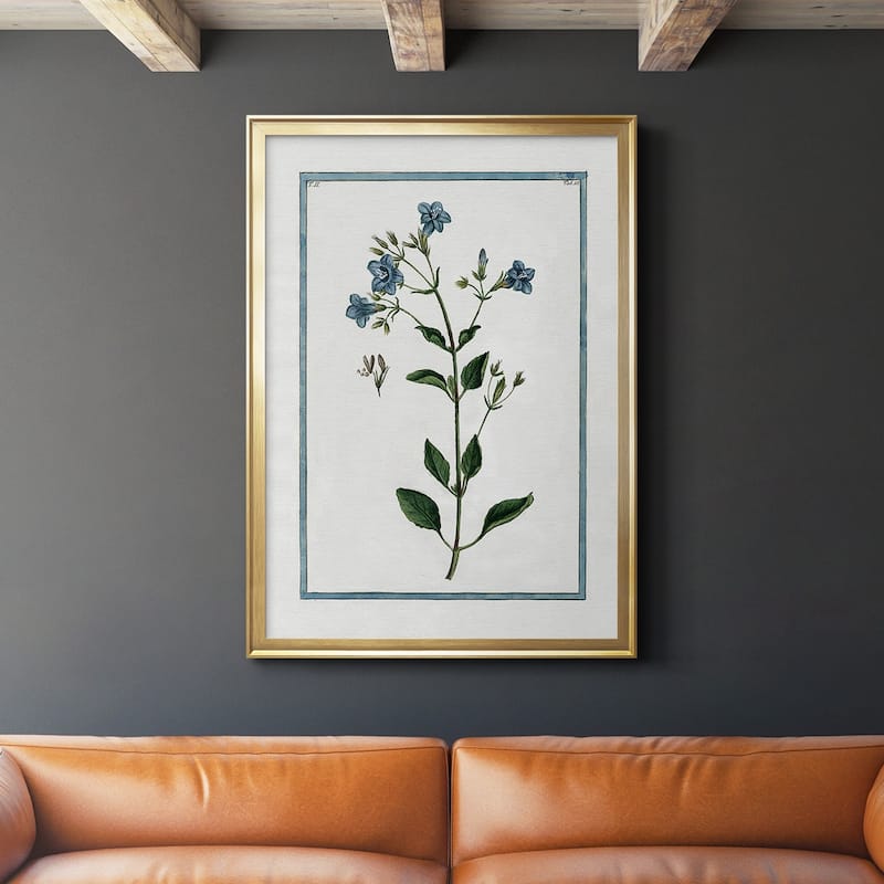 Shabby Chic Botanical II Premium Framed Print - Ready to Hang