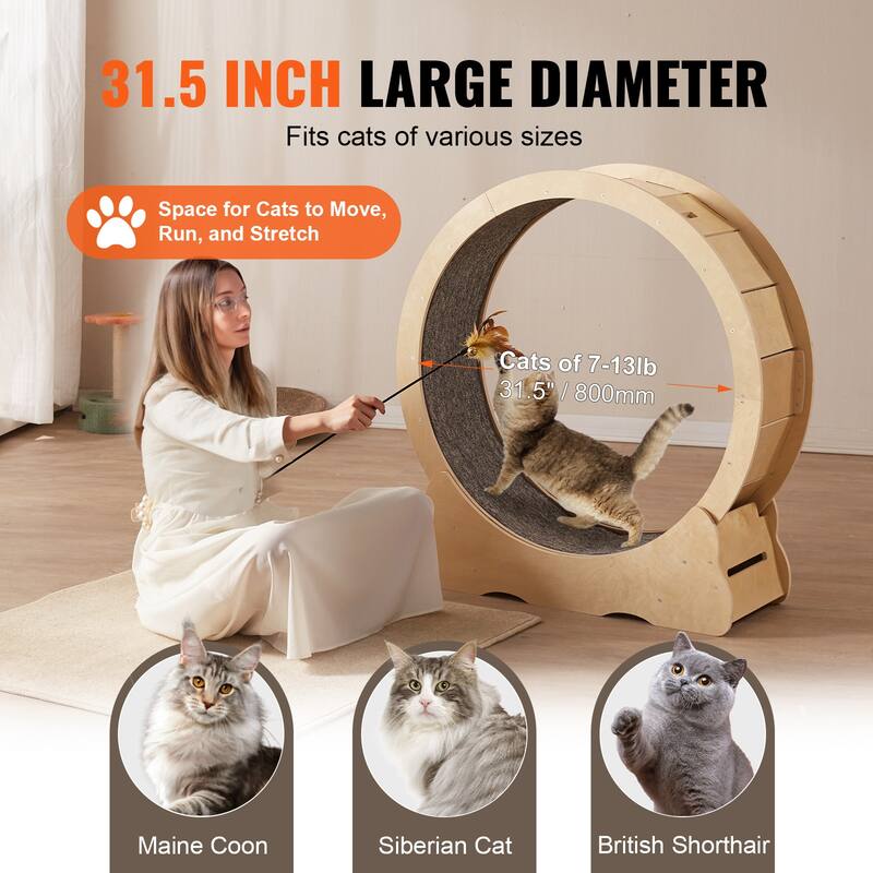 Cat Exercise Wheel, Large Cat Treadmill Wheel for Indoor Cats, Cat Running Wheel with Detachable Carpets