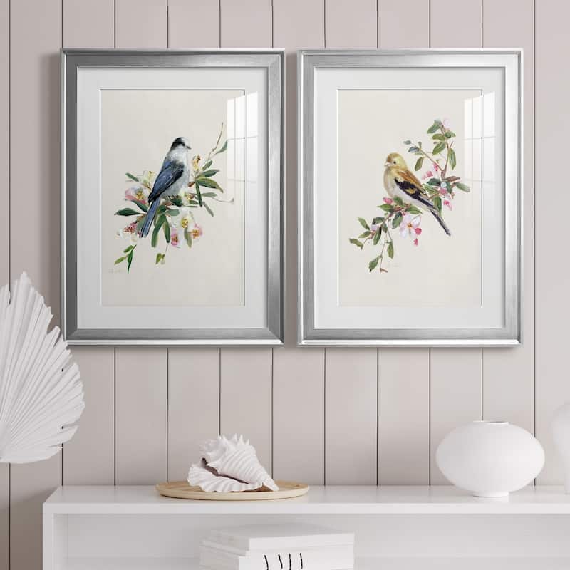 Spring Song Gray Jay Premium Framed Print - Ready to Hang