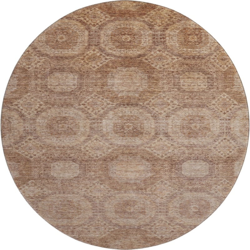 Premium Washable Super Soft Vintage Traditional Mayfield Rug