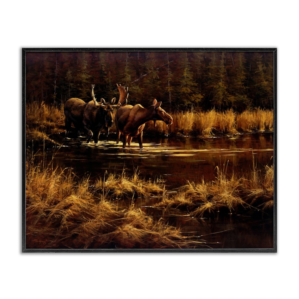 Stupell Moose Pair at Stream Framed Giclee Art Design By Paco Young