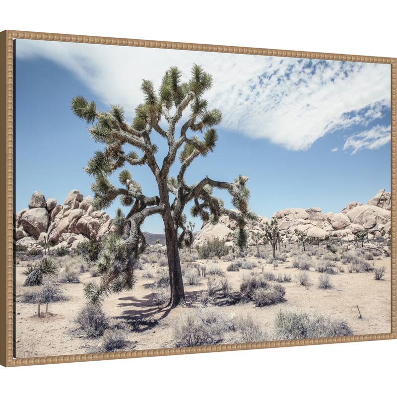 Yucca by Shot by Clint Framed Canvas Wall Art Print