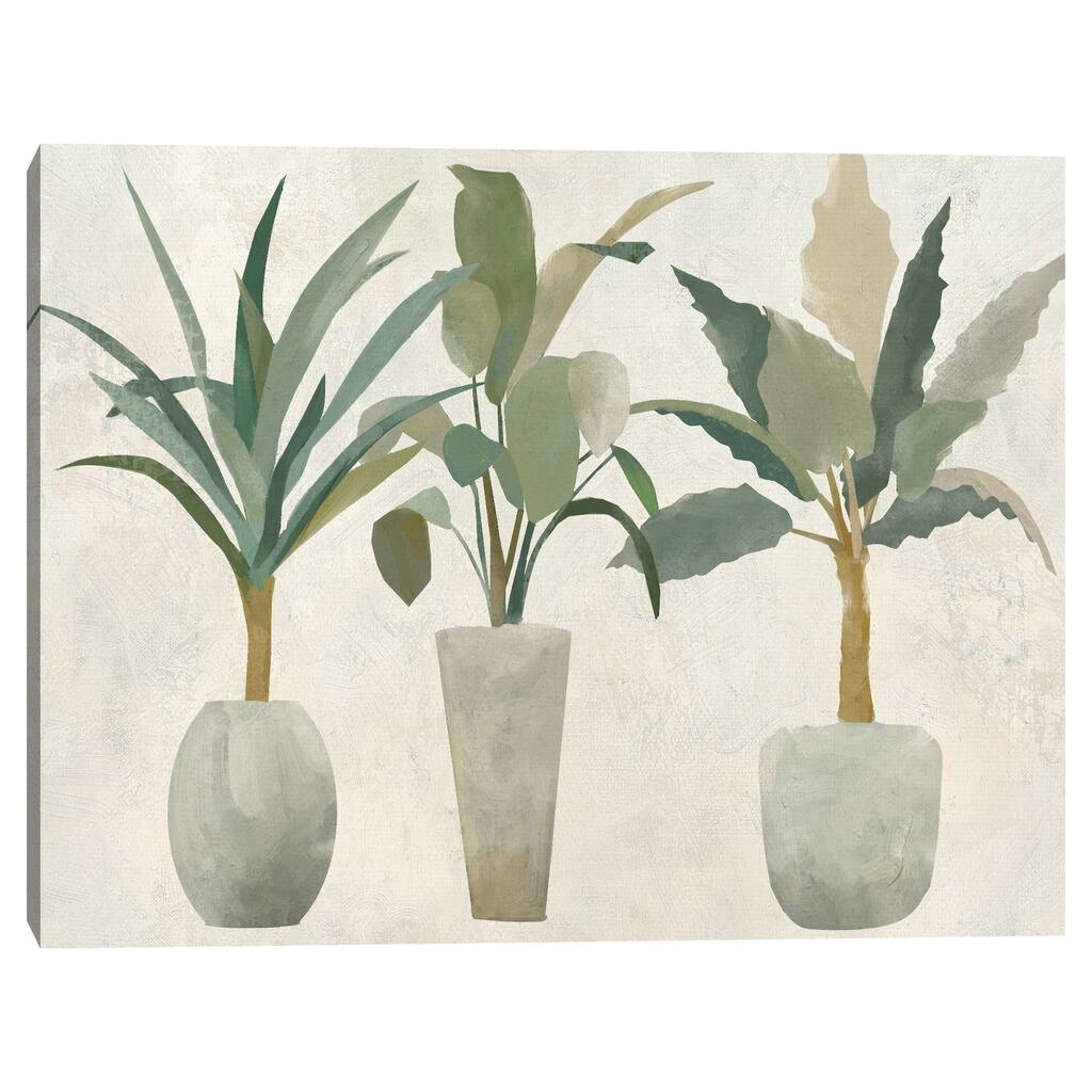 Greenery Trio by Studio Arts Canvas Art Print